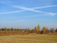 Черемошне з panoramio.com