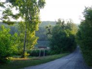 Онопріївка з panoramio.com