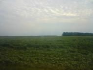 Цьови з panoramio.com