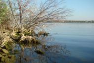 Чоботарівка з panoramio.com