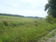 Черепова з panoramio.com