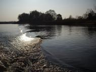 Дмитрівка з panoramio.com