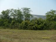 Ароматне з panoramio.com