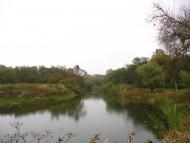 Василівка з panoramio.com