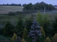 Млинівці з panoramio.com