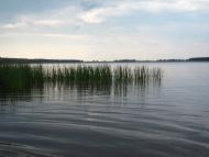 Дернаки з panoramio.com