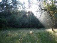 Майдан з panoramio.com