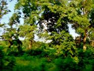 Бране Поле з panoramio.com