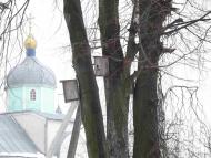 Бодячів з panoramio.com