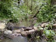 Великі Глібовичі з panoramio.com