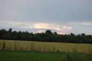 Маринівка з panoramio.com