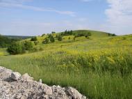 Слиньків Яр з panoramio.com