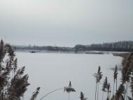 Зарванці з panoramio.com - Зарванцы