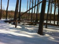 Макалевичі з panoramio.com