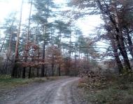 Тарасенки з panoramio.com - Тарасенки