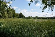 Чапаєвка з panoramio.com
