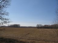 Малинівка з panoramio.com