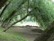 Гуняді з panoramio.com