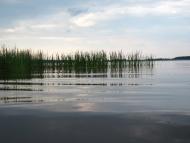 Дернаки з panoramio.com