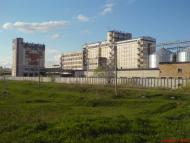 Гладківщина - Останні фото