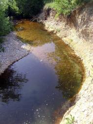 Пасічне з panoramio.com