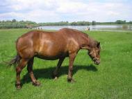 Велике Устя з panoramio.com