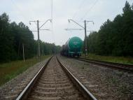 Цвітоха з panoramio.com