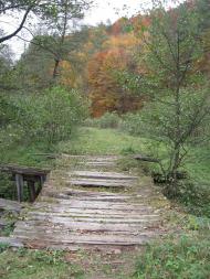 Лісопотік з panoramio.com