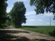 Черепова з panoramio.com