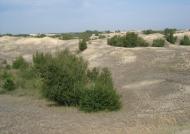 Подо-Калинівка з panoramio.com