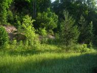 Приліпка з panoramio.com