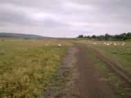 Юр'ївка з panoramio.com