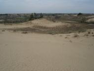 Подо-Калинівка з panoramio.com