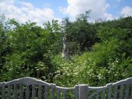 Годовиця з panoramio.com