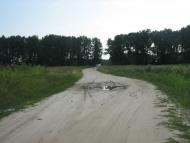 Шевченкове з panoramio.com