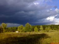 Кустолові Кущі з panoramio.com