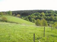 Зіньків з panoramio.com