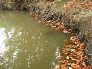 Пилипи з panoramio.com