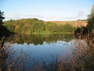 Дмитровичі з panoramio.com