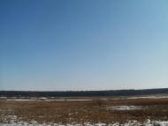 Куна з panoramio.com