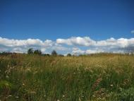 Сурсько-Клевцеве з panoramio.com