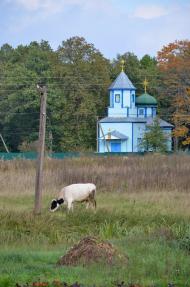 Царівка з panoramio.com