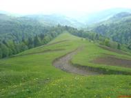 Стригальня з panoramio.com - Strygalnya