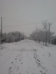 Стеблівка з panoramio.com