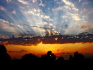 Біловишневе - Останні фото