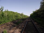 Калінінський з panoramio.com