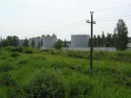 Жабче з panoramio.com