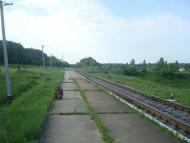 Мокіївці з panoramio.com