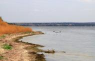 Пшонянове з panoramio.com