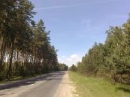 Новий Кривин з panoramio.com